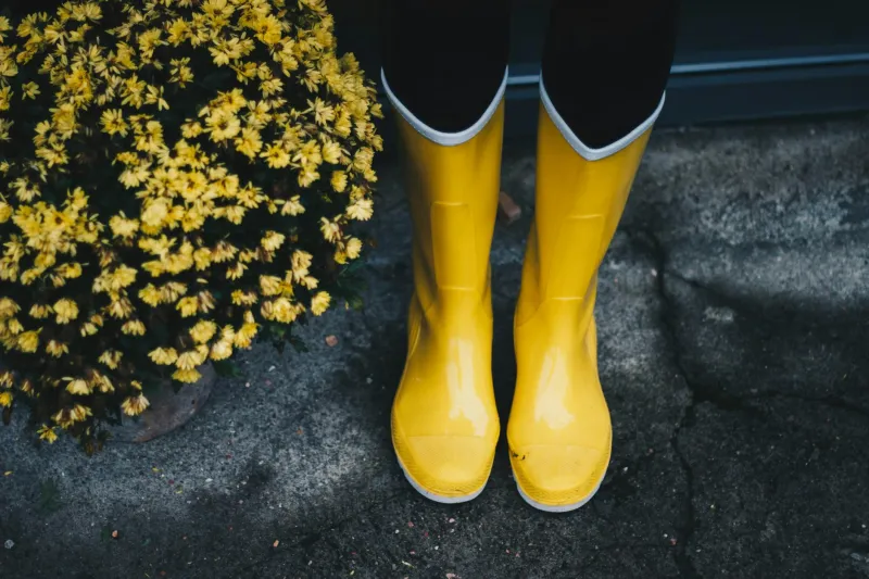 Wellington Boots and Broken Dreams: The £220 Rubber Revolution That Never Left the Car Park